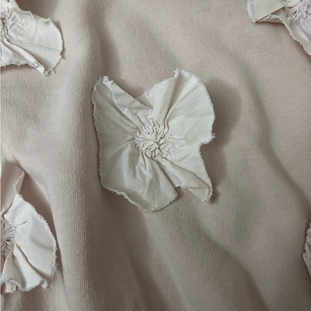 Light pink Zara Sweatshirt with Floral Appliques - Picture 3 of 4